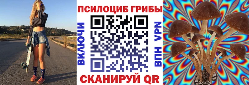 hydra зеркало  Нарьян-Мар  Псилоцибиновые грибы Psilocybe 